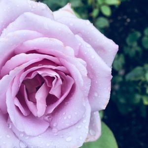 Meet your Posher, Kassie